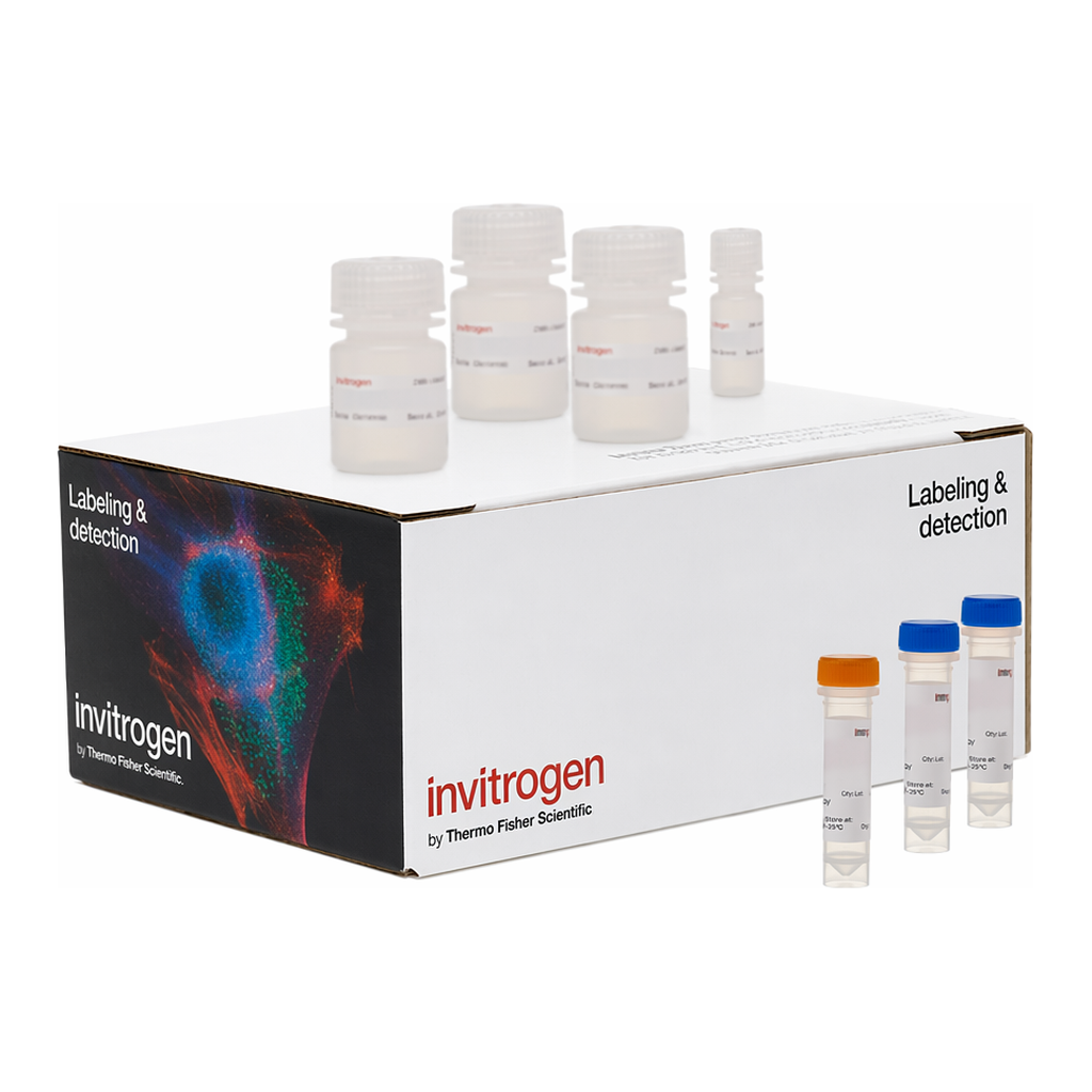 Thermo Fisher Scientific Click-iT Plus EdU Cell Proliferation Kit for Imaging, Alexa Fluor 488 dye