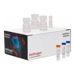 Thermo Fisher Scientific Click-iT Plus EdU Cell Proliferation Kit for Imaging, Alexa Fluor 488 dye