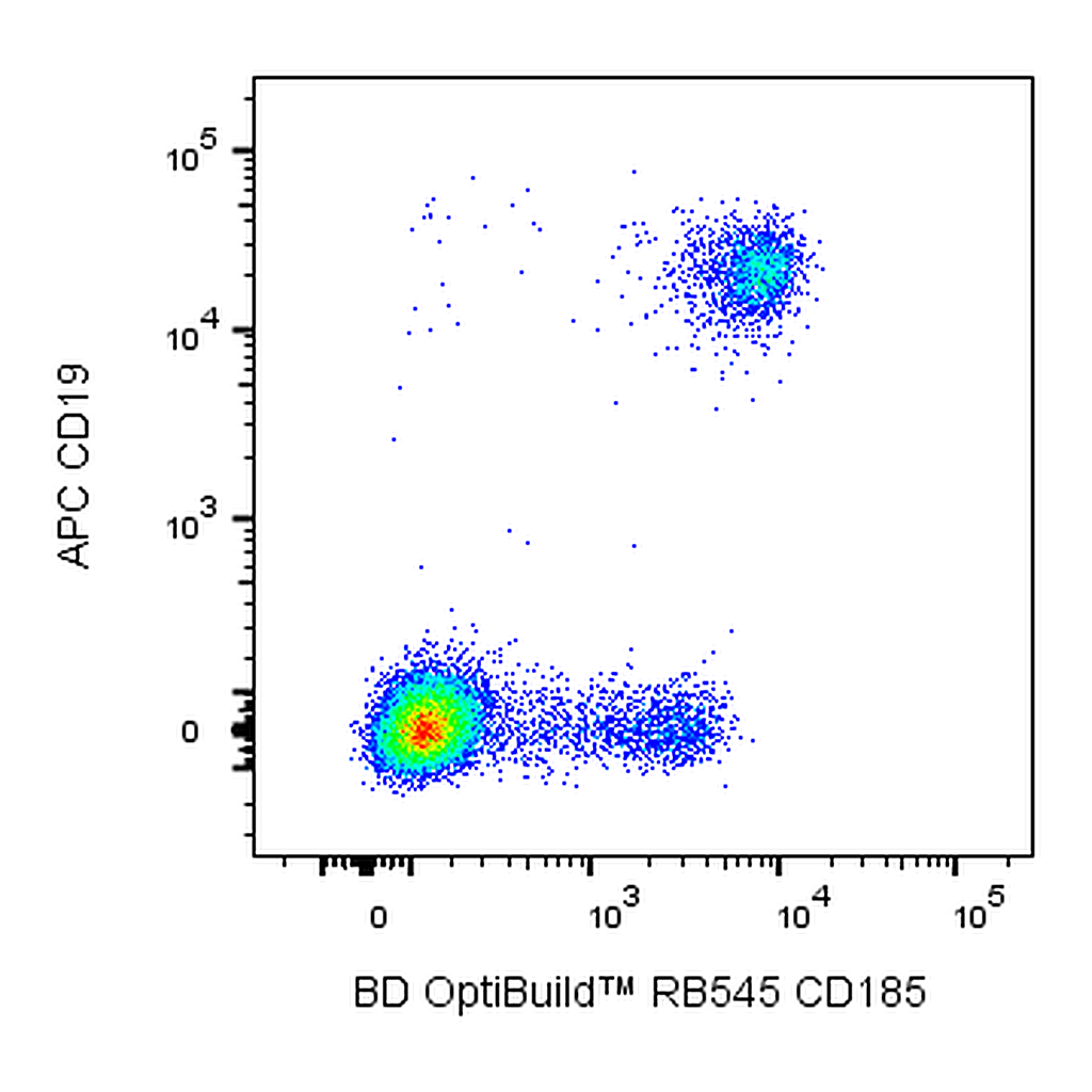 BD RB545 Rat Anti-Human CXCR5 (CD185)