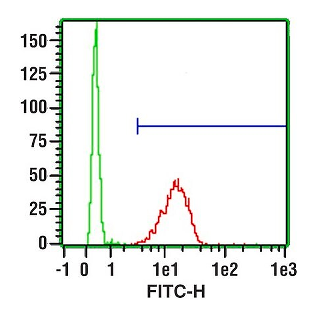 Merck Monoclonal Anti-CD11b-FITC antibody produced in mouse