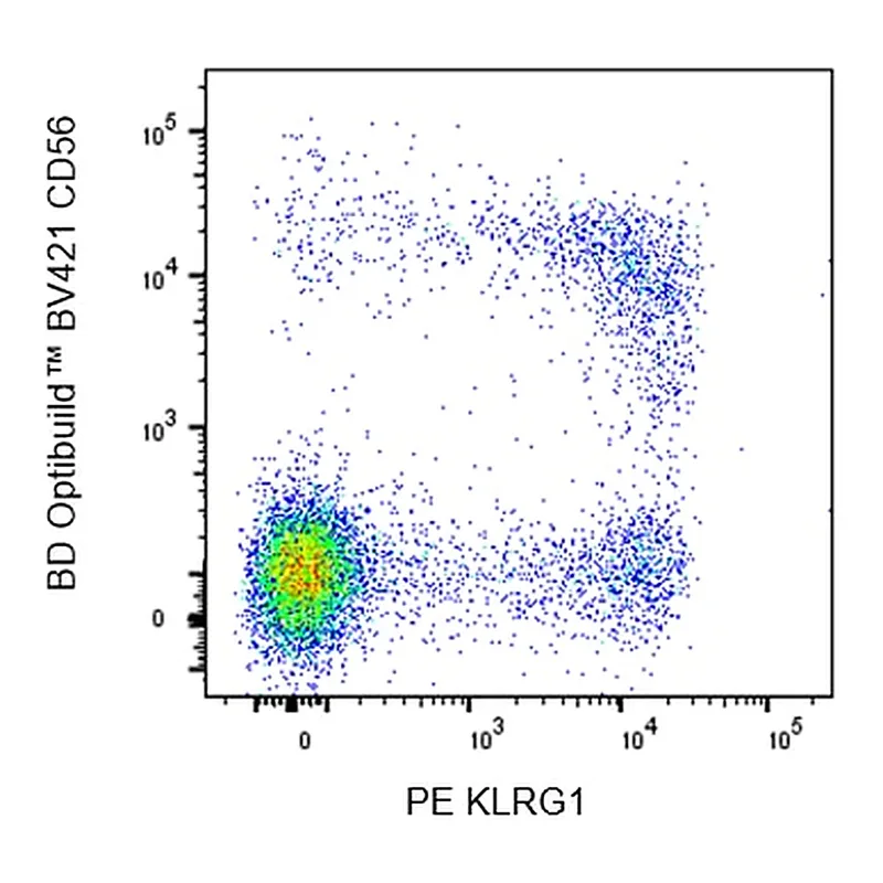 BD PE Mouse Anti-Human KLRG1