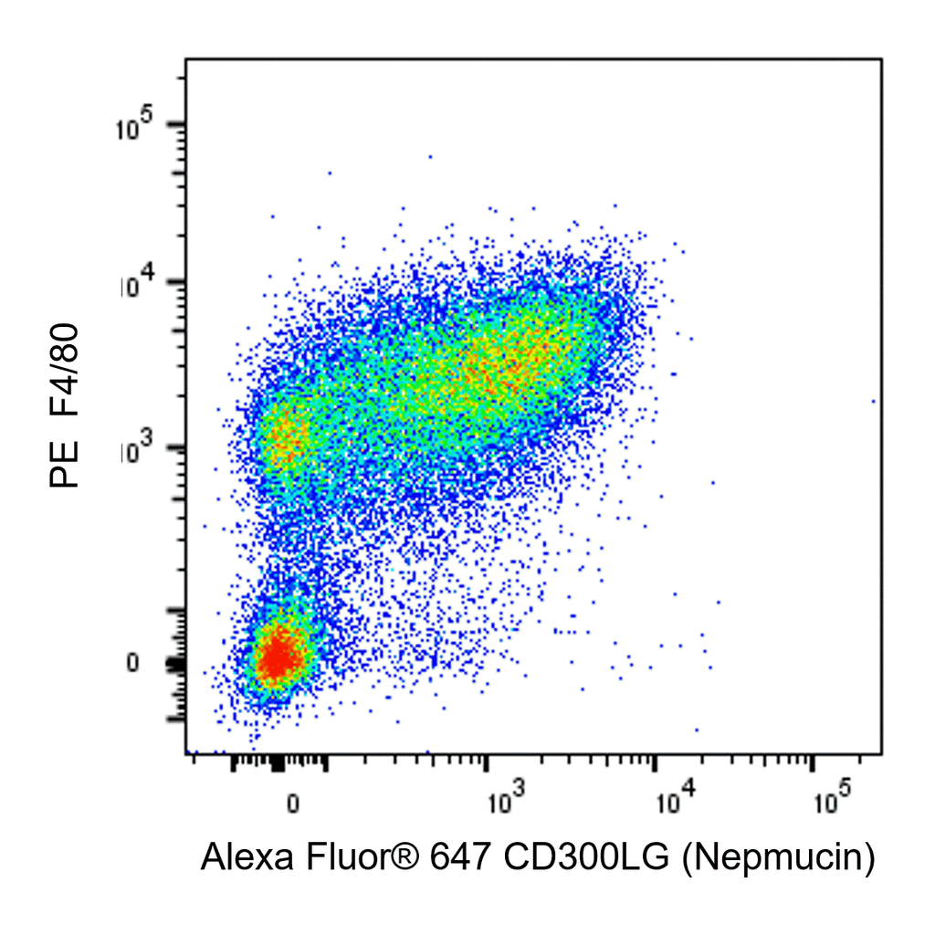 BD Alexa Fluor® 647 Rat Anti-Mouse CD300LG (Nepmucin)