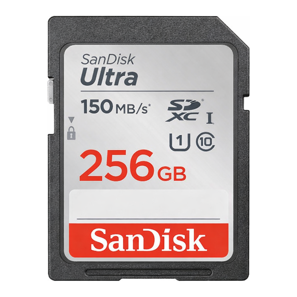 OFFICENEX [P]샌디스크 SD카드(256GB/SanDisk)