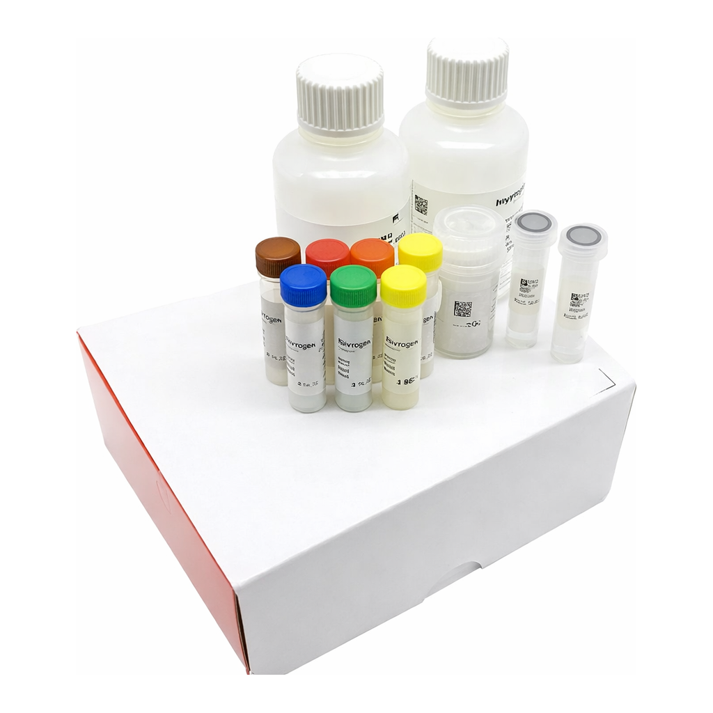 Thermo Fisher Scientific Click-iT Nascent RNA Capture Kit, for gene expression analysis