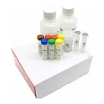 Thermo Fisher Scientific Click-iT Nascent RNA Capture Kit, for gene expression analysis