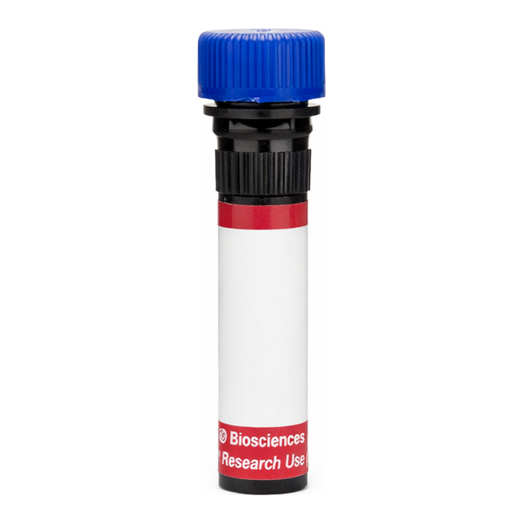 BD R718 Mouse Anti-Human P-glycoprotein (CD243)
