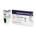 Thermo Fisher Scientific FastDigest MboII (IIs class)