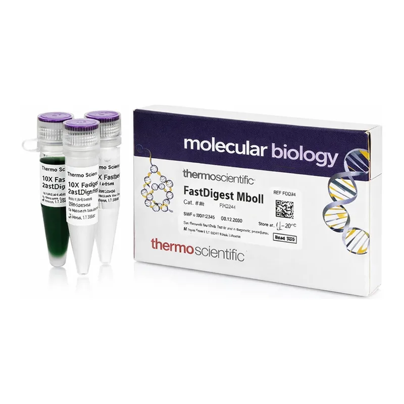 Thermo Fisher Scientific FastDigest MboII (IIs class)
