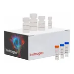 Thermo Fisher Scientific Click-iT Plus EdU Cell Proliferation Kit for Imaging, Alexa Fluor 594 dye