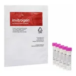 Thermo Fisher Scientific CellROX Orange Reagent, for oxidative stress detection