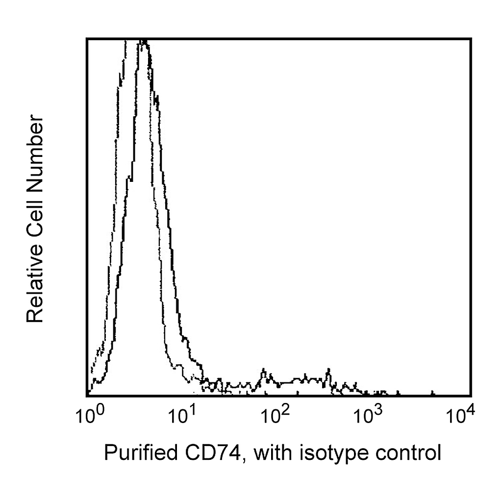 BD Purified Mouse Anti-Human CD74