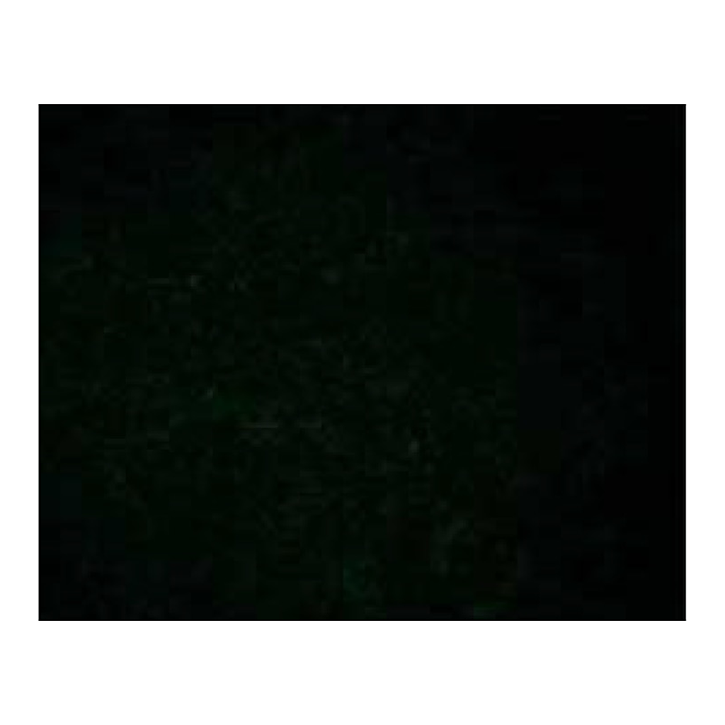 BD Purified Mouse Anti-Phosphoserine/threonine
