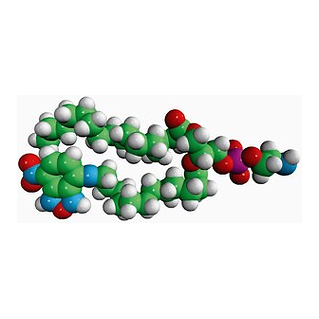 Merck 16:0-12:0 NBD PE