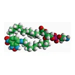 Merck 16:0-12:0 NBD PE