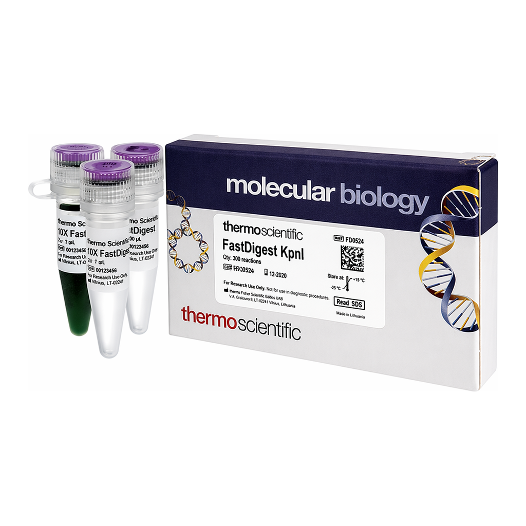 Thermo Fisher Scientific FastDigest KpnI