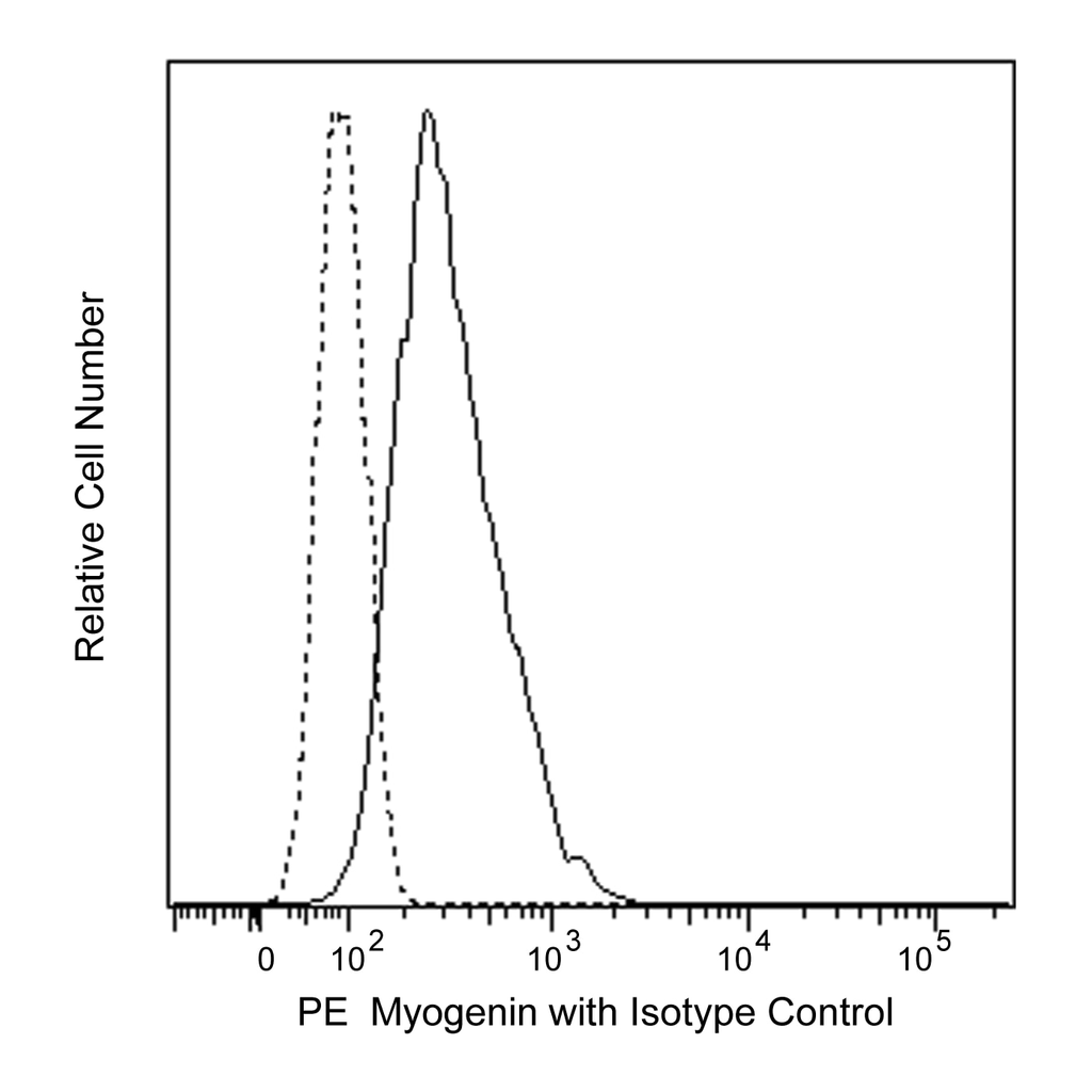 BD PE Mouse anti-Myogenin