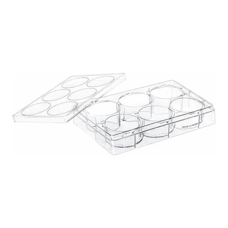 Greiner Bio One CELL CULTURE MULTIWELL PLATE, 6 WELL, PS, CLEAR,CELLCOAT®, POLY-D-LYSINE, LID WITH CONDENSATION RINGS, 5 PCS./BAG