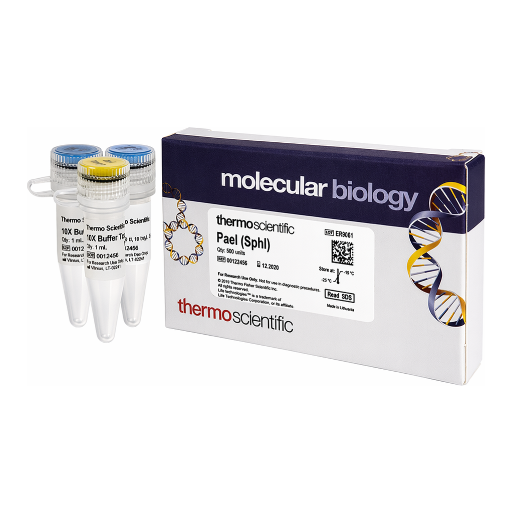 Thermo Fisher Scientific PaeI (SphI) (10 U/&mu;L), 500 units