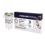Thermo Fisher Scientific PaeI (SphI) (10 U/μL), 500 units