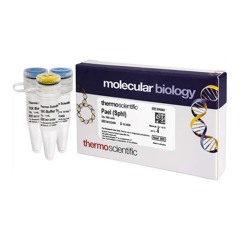 Thermo Fisher Scientific PaeI (SphI) (10 U/μL), 500 units