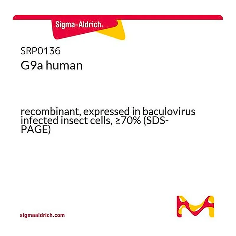 Merck G9a human
