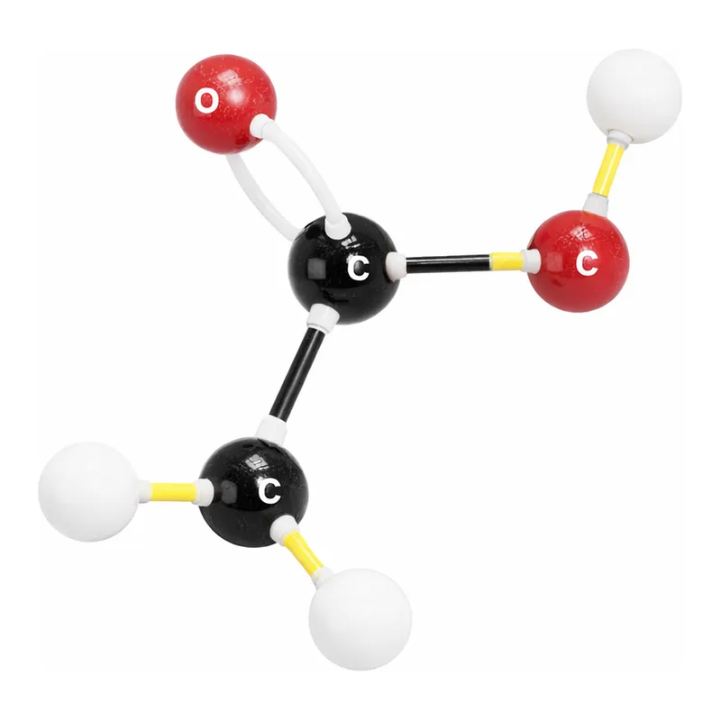 Merck Giant-size molecular model kit