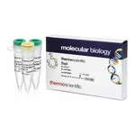 Thermo Fisher Scientific SspI (10 U/μL), 500 units