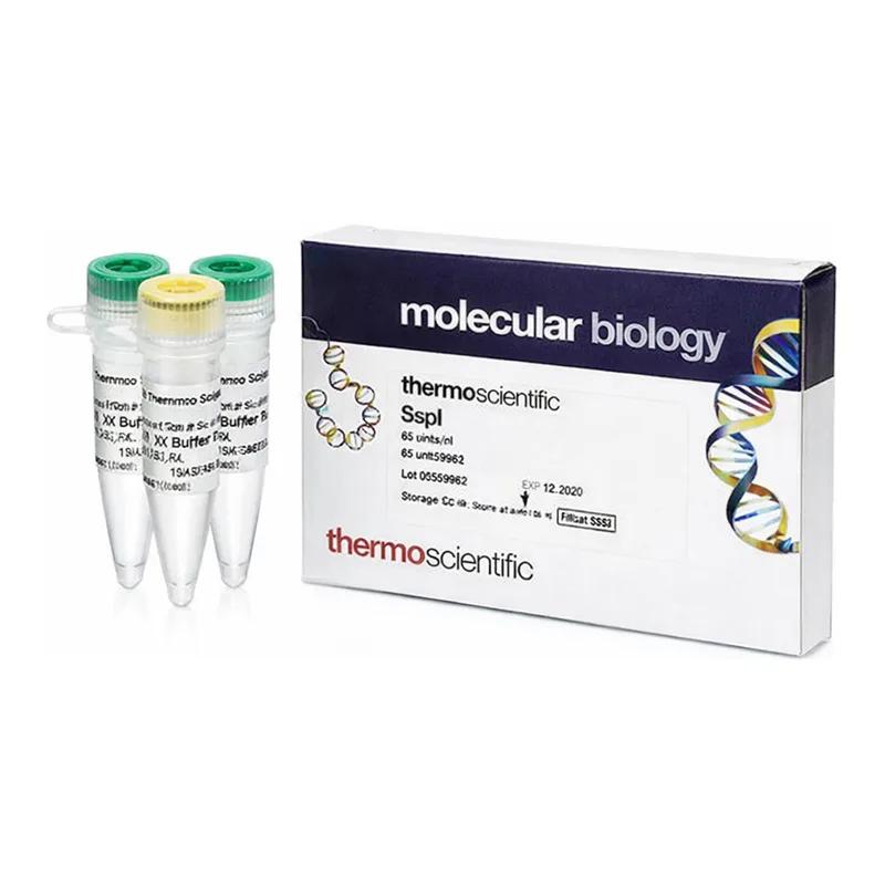 Thermo Fisher Scientific SspI (10 U/μL), 500 units