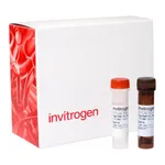 Thermo Fisher Scientific QuantiGene Plex Mouse Immune Response Panel, 80-plex, 1 Plate