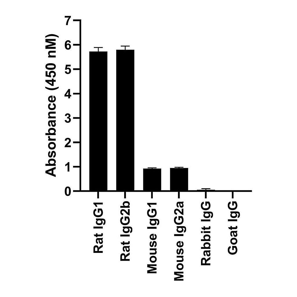 Thermo Fisher Scientific Donkey anti-Rat IgG (H+L) Highly Cross-Adsorbed Secondary Antibody, Alexa Fluor 568