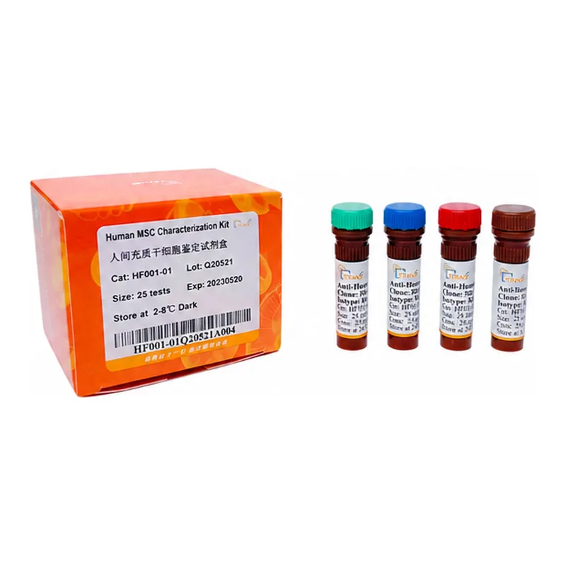 Human MSC Characterization Kit