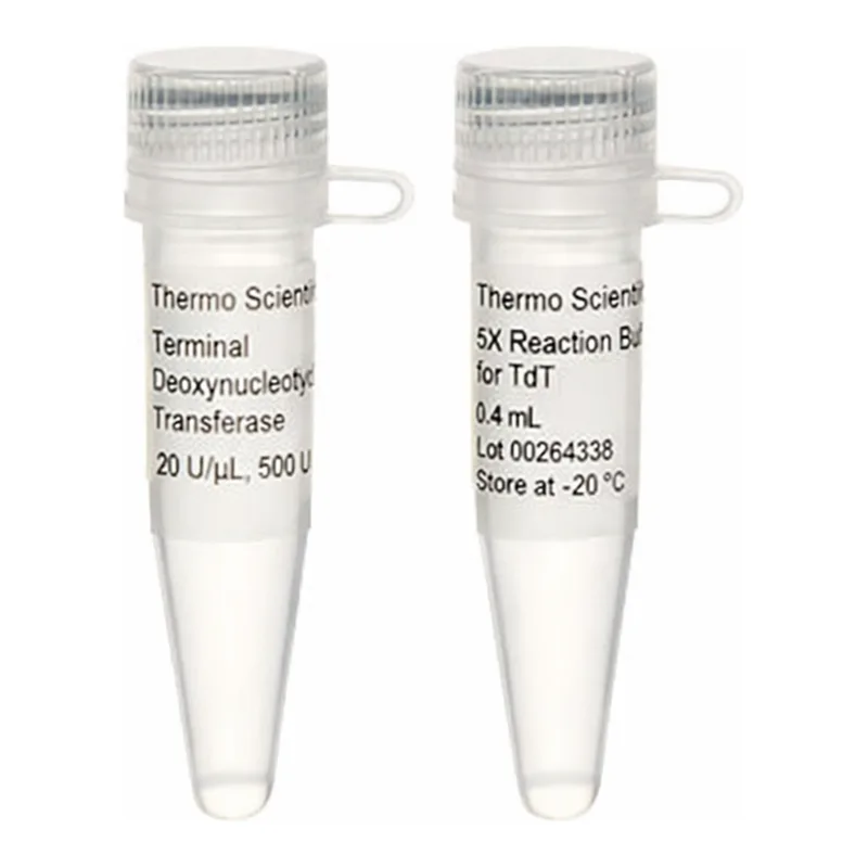 Thermo Fisher Scientific Terminal Deoxynucleotidyl Transferase (20 U/μL), 500 units