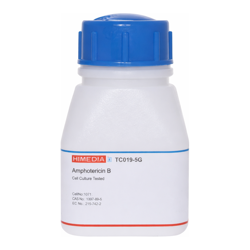 Himedia Amphotericin B