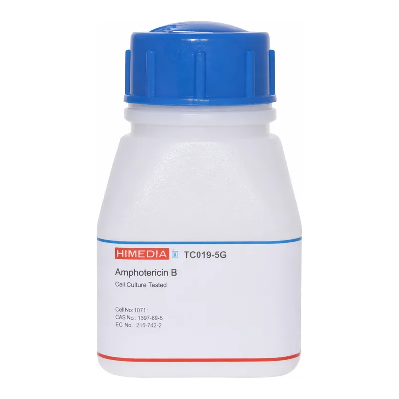 Himedia Amphotericin B