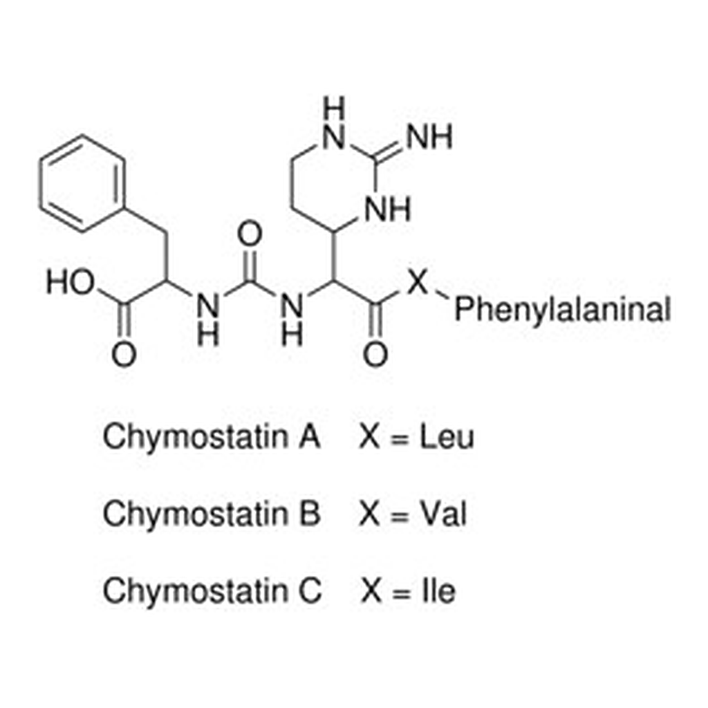Merck CHYMOSTATIN