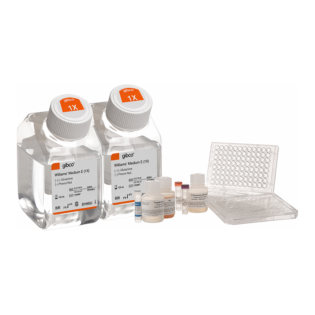 Thermo Fisher Scientific Hepatic Spheroid Kit