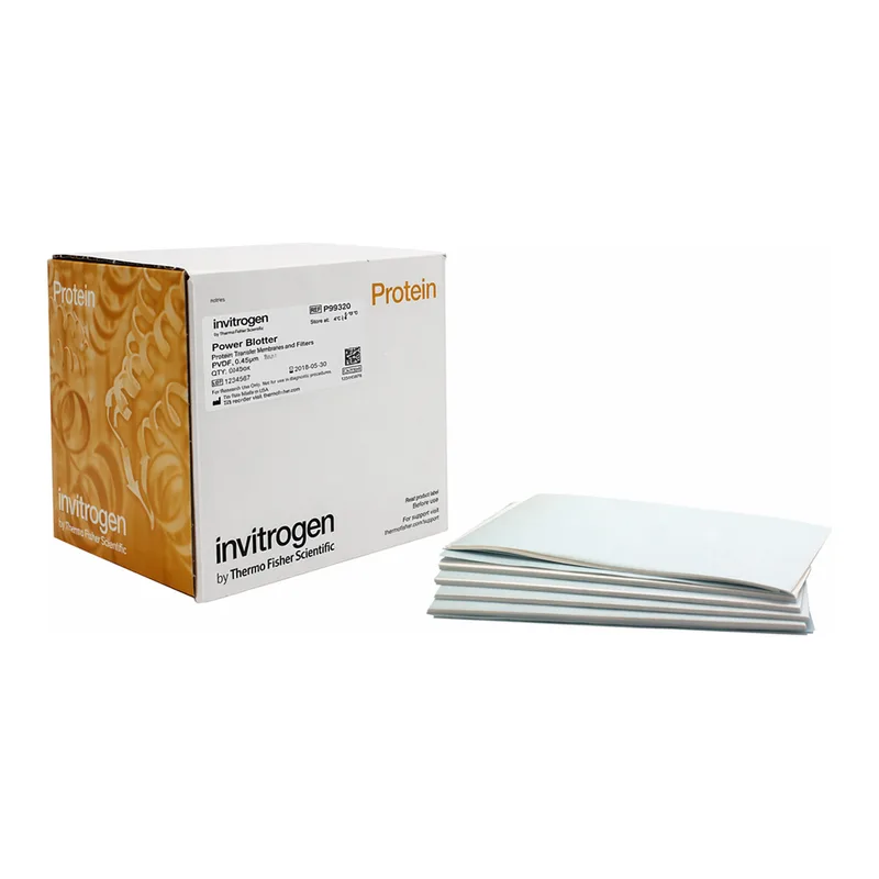 Thermo Fisher Scientific Power Blotter Pre-cut Membranes and Filters, PVDF, regular size, 20 stacks