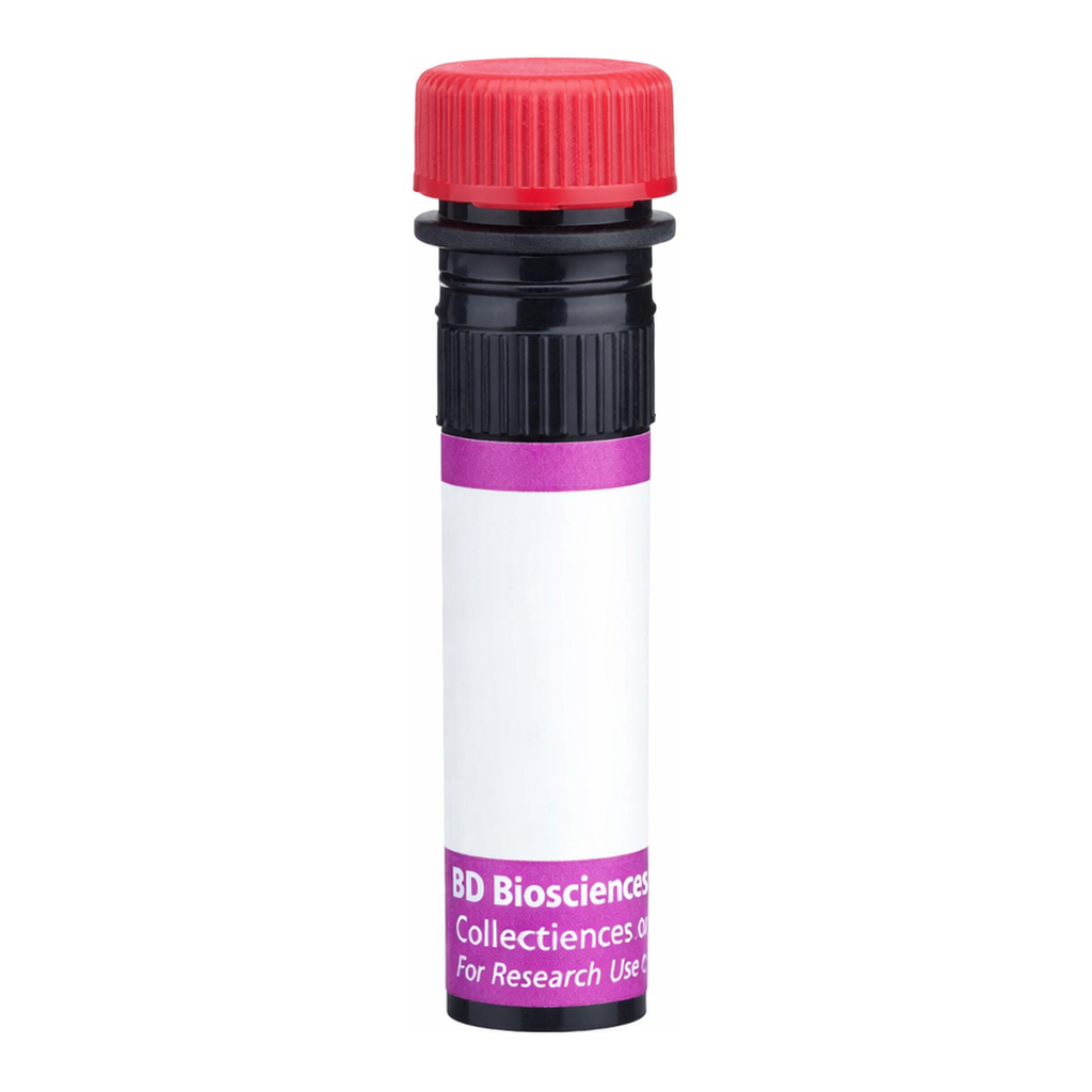 BD BV711 Mouse Anti-Rat RP-1 Antigen