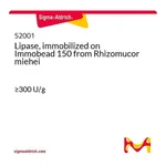Merck Lipase, immobilized on Immobead 150 from Rhizomucor miehei