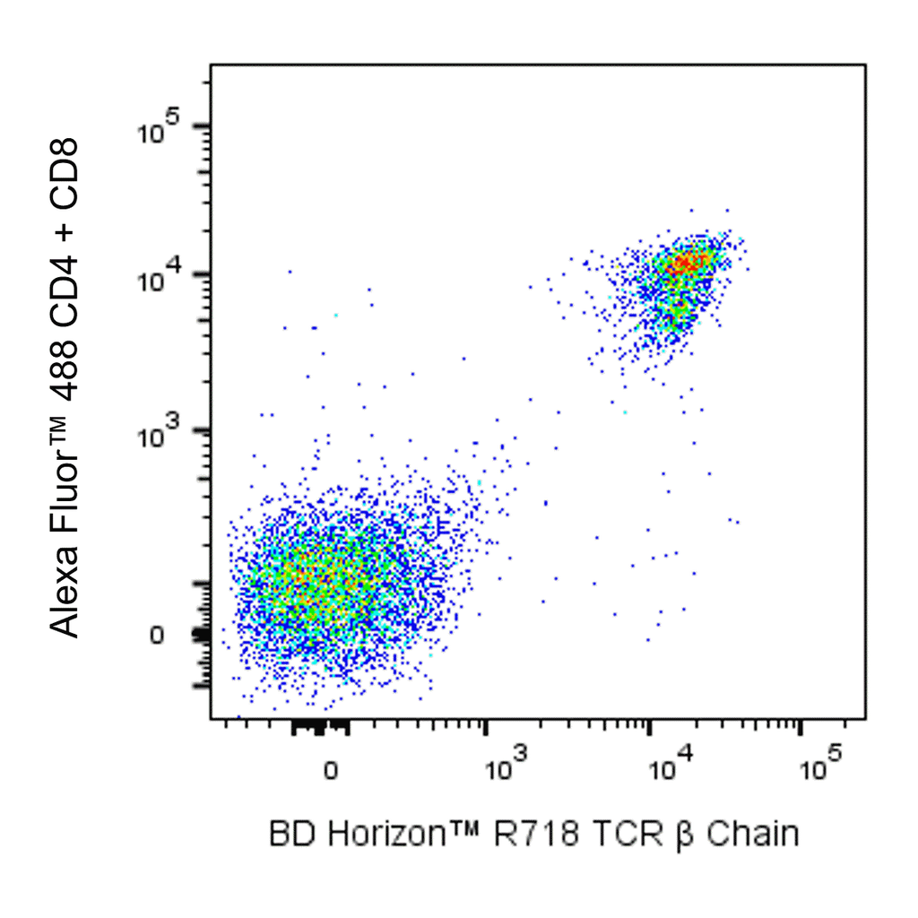 BD R718 Hamster Anti-Mouse TCR β Chain