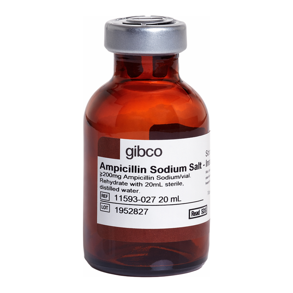 Thermo Fisher Scientific Ampicillin, sodium salt, irradiated