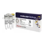 Thermo Fisher Scientific TaqI (10 U/μL), 3,000 units