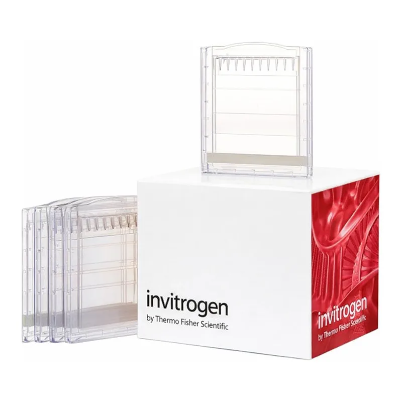 Thermo Fisher Scientific Novex Tris-Glycine Mini Protein Gels, 6%, 1.0 mm, WedgeWell format, 10 gels (1 box)
