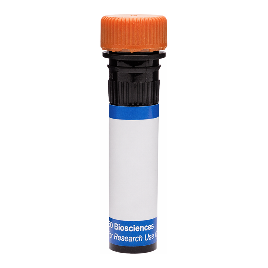 BD RB613 Mouse Anti-Integrin α7 (ITGA7)