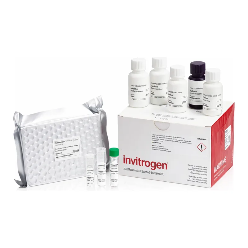 Thermo Fisher Scientific Human CRP Rapid ELISA Kit