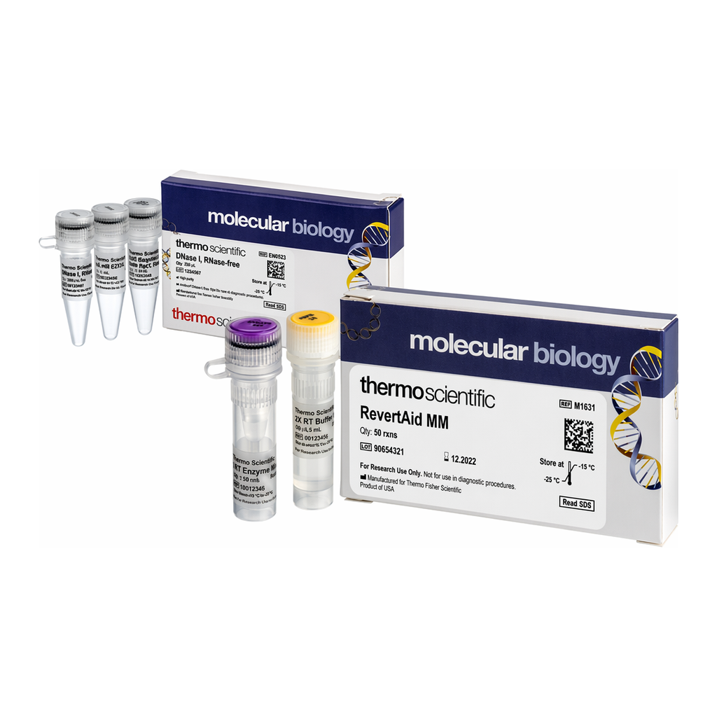 Thermo Fisher Scientific RevertAid Master Mix, with DNase I, 50 reactions