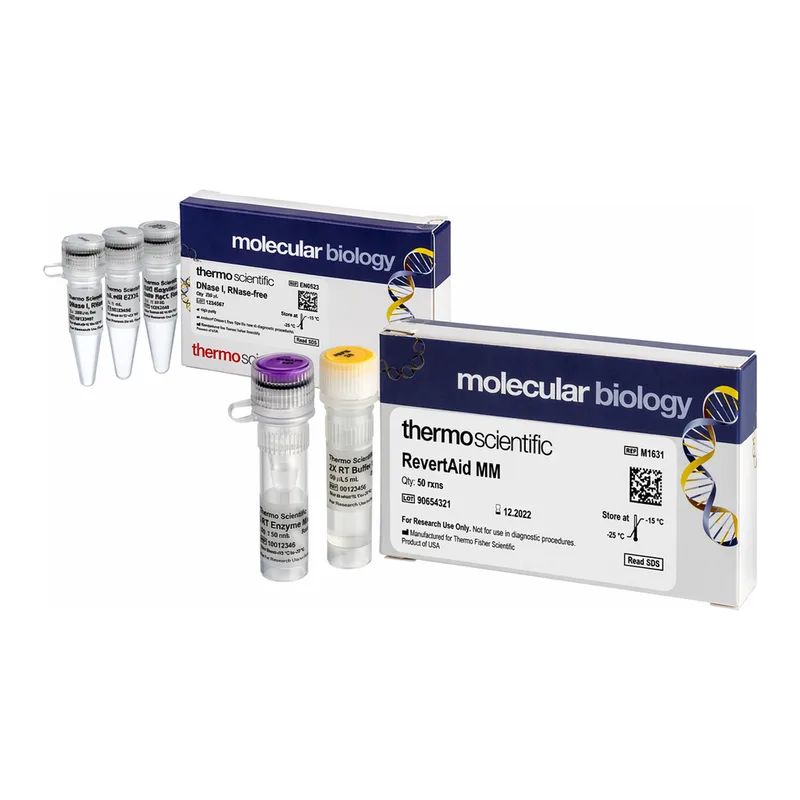 Thermo Fisher Scientific RevertAid Master Mix, with DNase I, 50 reactions