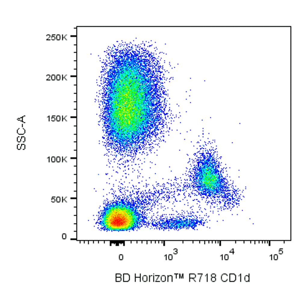 BD R718 Mouse Anti-Human CD1d