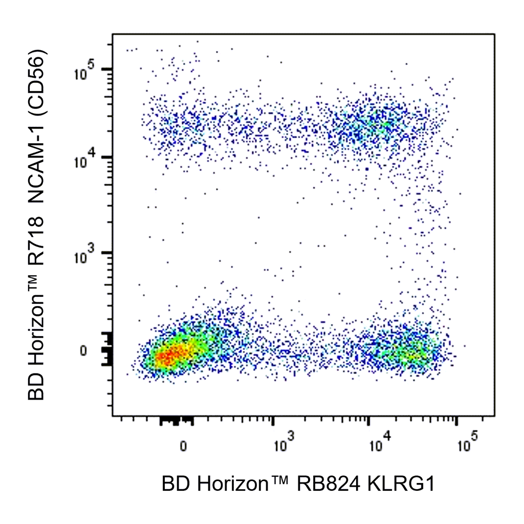 BD RB824 Mouse Anti-Human KLRG1