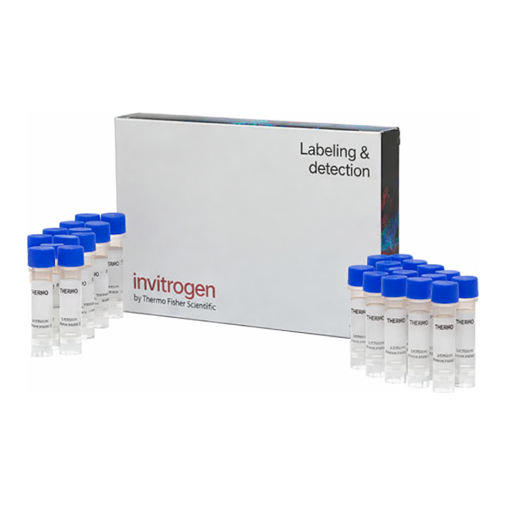 Thermo Fisher Scientific 5-(and-6)-Carboxy SNARF-1, Acetoxymethyl Ester, Acetate, 20 x 50ug
